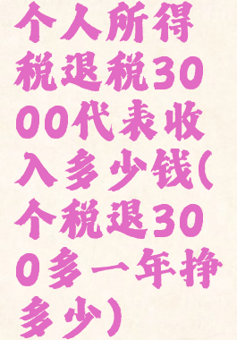 个人所得税退税3000代表收入多少钱(个税退300多一年挣多少)