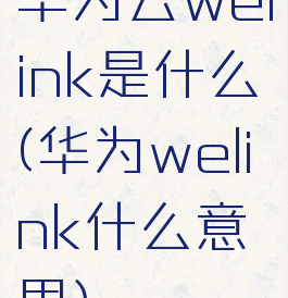 华为云welink是什么(华为welink什么意思)