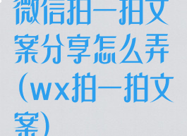 微信拍一拍文案分享怎么弄(wx拍一拍文案)