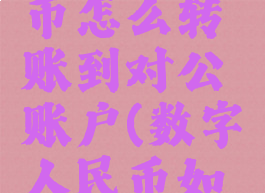 数字人民币怎么转账到对公账户(数字人民币如何转出)