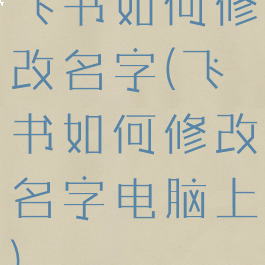 飞书如何修改名字(飞书如何修改名字电脑上)