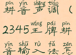 2345王牌输入法怎么打拼音声调(2345王牌拼音输入法怎么打不出汉字)