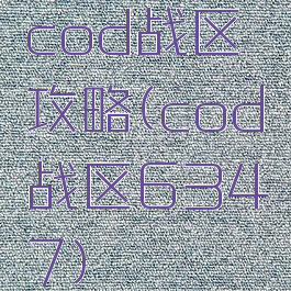 cod战区攻略(cod战区6347)