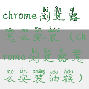 chrome浏览器怎么安装(chrome浏览器怎么安装油猴)