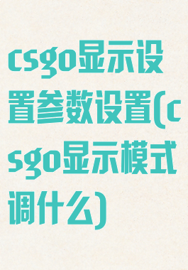 csgo显示设置参数设置(csgo显示模式调什么)