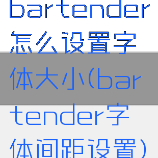 bartender怎么设置字体大小(bartender字体间距设置)