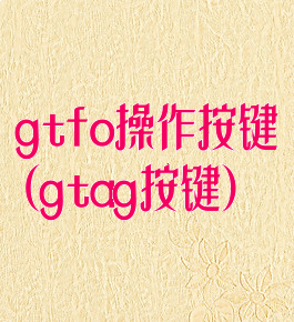 gtfo操作按键(gtag按键)