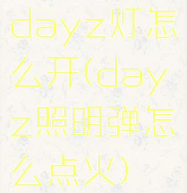 dayz灯怎么开(dayz照明弹怎么点火)