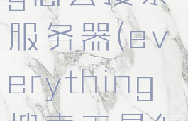 everything怎么搜索服务器(everything搜索工具怎么用)