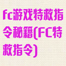fc游戏特救指令秘籍(FC特救指令)