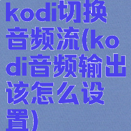 kodi切换音频流(kodi音频输出该怎么设置)