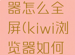 kiwi浏览器怎么全屏(kiwi浏览器如何全屏)