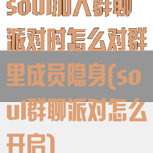 soul加入群聊派对时怎么对群里成员隐身(soul群聊派对怎么开启)