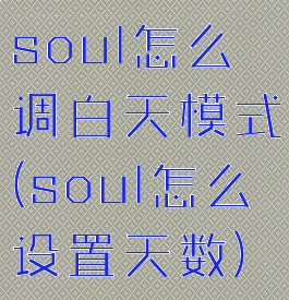 soul怎么调白天模式(soul怎么设置天数)