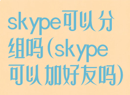 skype可以分组吗(skype可以加好友吗)