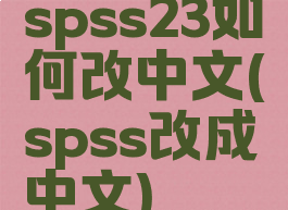 spss23如何改中文(spss改成中文)
