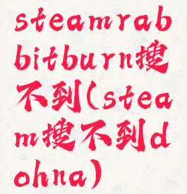 steamrabbitburn搜不到(steam搜不到dohna)
