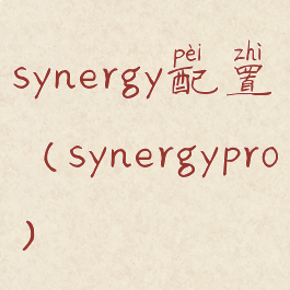 synergy配置(synergypro)