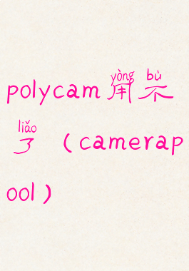 polycam用不了(camerapool)