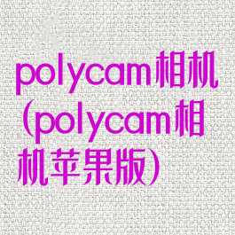 polycam相机(polycam相机苹果版)