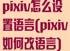 pixiv怎么设置语言(pixiv如何改语言)