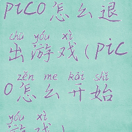 pico怎么退出游戏(pico怎么开始游戏)