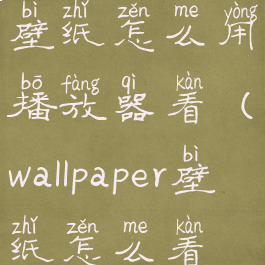 wallpaper的壁纸怎么用播放器看(wallpaper壁纸怎么看视频)