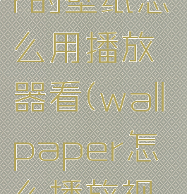 wallpaper的壁纸怎么用播放器看(wallpaper怎么播放视频)