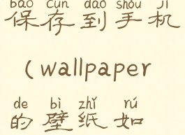 wallpaperengine壁纸怎么保存到手机(wallpaper的壁纸如何保存到手机上)