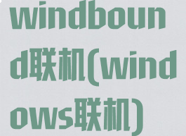 windbound联机(windows联机)