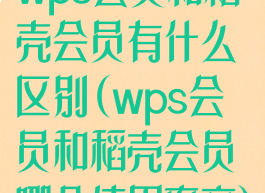 wps会员和稻壳会员有什么区别(wps会员和稻壳会员哪个使用率高)