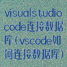 visualstudiocode连接数据库(vscode如何连接数据库)