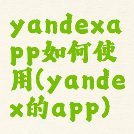 yandexapp如何使用(yandex的app)