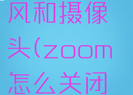 zoom怎么关闭麦克风和摄像头(zoom怎么关闭自己的摄像头)